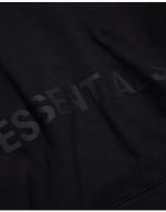 Essentials Pullover Hoodie Applique Logo