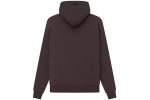 Essentials Hoodie Plum