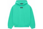 The Essentials Pullover Hoodie in Mint Leaf offers comfort, style, and a cozy fit with its soft fabric and minimalist design.