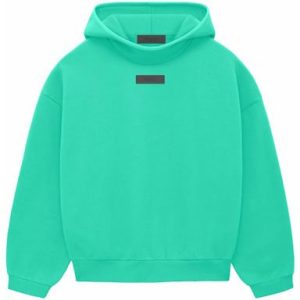 The Essentials Pullover Hoodie in Mint Leaf offers comfort, style, and a cozy fit with its soft fabric and minimalist design.
